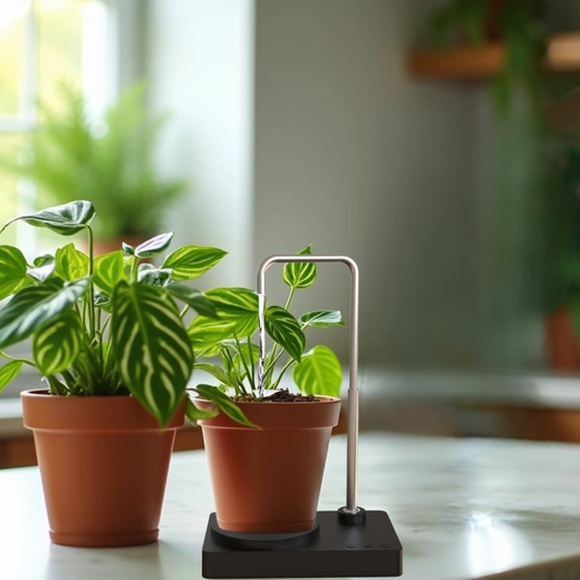 Why Filtered Water for Plants Matters More Than You Think