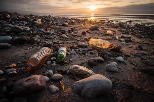 Your First Step to a Smaller Footprint: How Ditching Water Bottles in 2026 Makes Real Impact